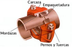 bruno-acoples_pag14_ch